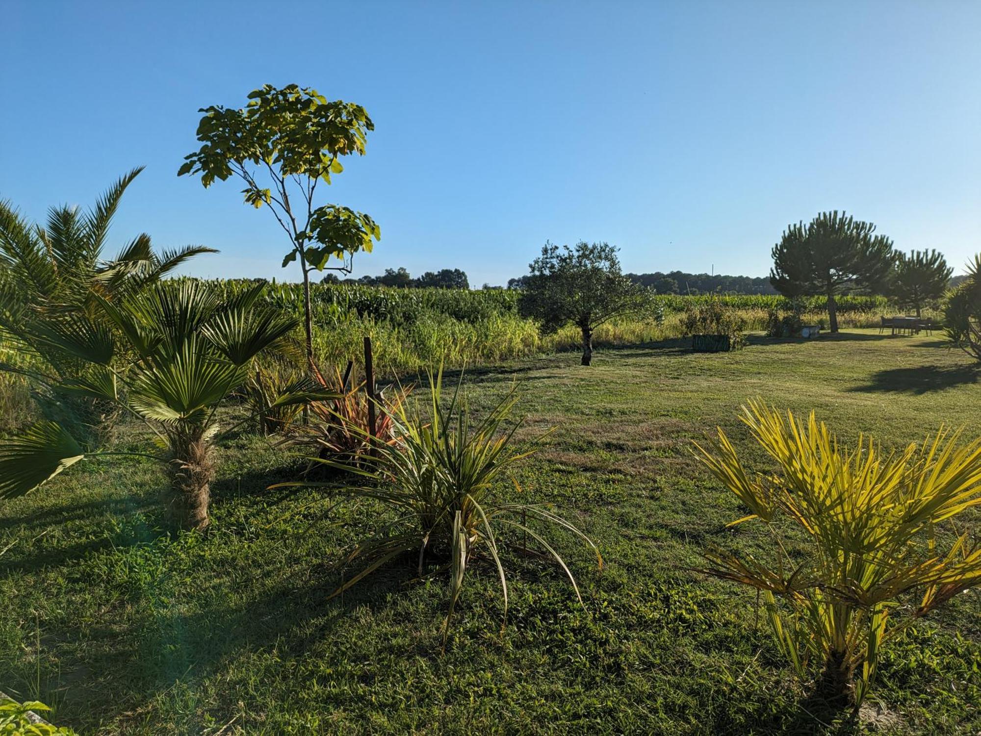 Vila La Grange D'Hardy Soustons Exteriér fotografie